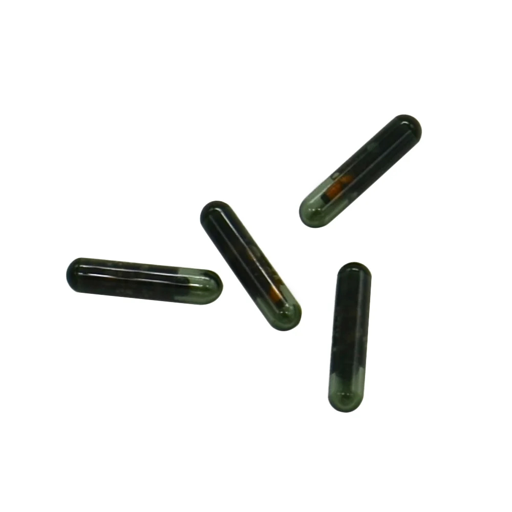 2pcs ֽ  Ʈ  Ĩ ID13  immobilizer (New / Blank / Not Coded)
