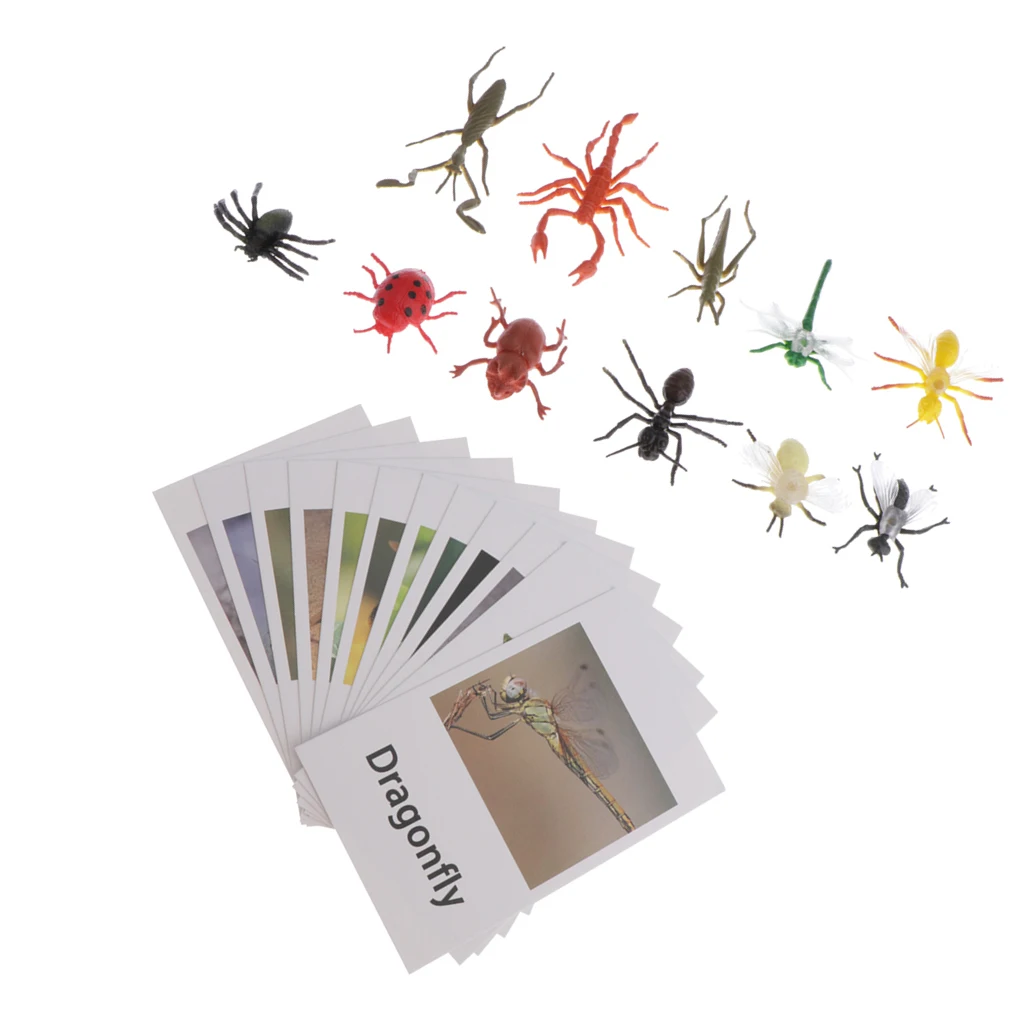 Montessori Insect Animal Match - Miniature Insects Figurines (12pcs) with Matching Cards (12pcs) - 2 Montessori Learning Toy