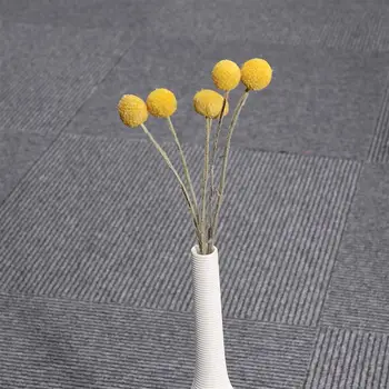 

10PC DIY Dried Flowers Branch Farmhouse Yellow Billy Balls Home Decor Yunnan Bouquet Golden Ball Dried Flower Small Size
