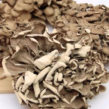 

Ngryise 300Gram A Set dry maitake