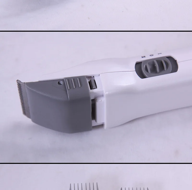 3756933009_1591473854