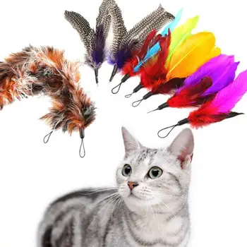 

9pcs Cat Kitten Teaser Turkey Feather Interactive Stick Toy Wire Chaser Random Color Cat Interaction Dropshipping Pet Supplies