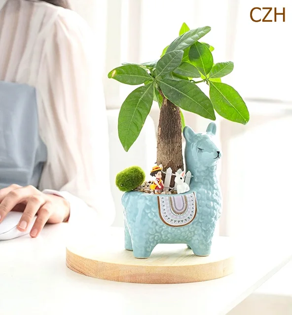 decorativa, mini bonsai, vaso de plantas, ornamento