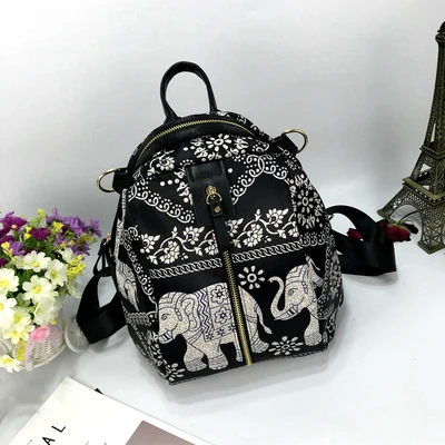 Этнический стиль рюкзак женский уличный Модный Полосатый водонепроницаемый наплечный рюкзак через плечо с цветочным рисунком для ноутбука - Цвет: as pic