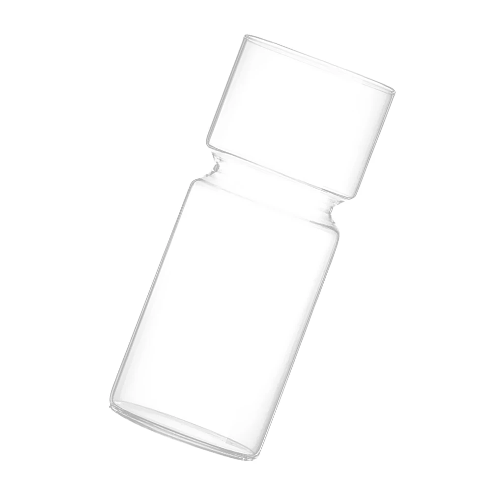 Clear Glass Flower Vase Hydroponic Plant Holder Container Bud Vase for Small Flowers