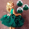 Christmas Infantil Flower Dress For Girls 1st Birthday Party Wedding Lace Tutu Girl Dress Baby Girl Princess Vestido Costume ► Photo 1/6