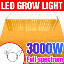 

Full Spectrum LED Hydroponic Lamp 220V Phyto Growth Lights 2000W Grow Tent Cultivo Lamp Bulb 3000W Indoor Flower Planting Light