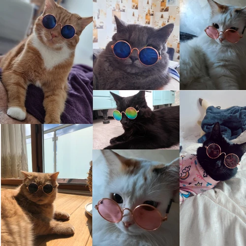 애완 동물 고양이 안경 개 애완 동물 제품 안경 고양이 작은 개 장난감 눈 착용 선글라스 사진 소품, 애완 동물 고양이 액세서리 배송 24 시간 2