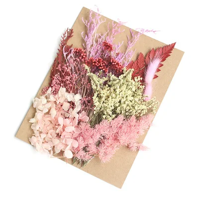 

Real Dried Flower Dry Plants For Aromatherapy soap Candle Resin Pendant Making Craft DIY Accessories Christmas Home Decoration