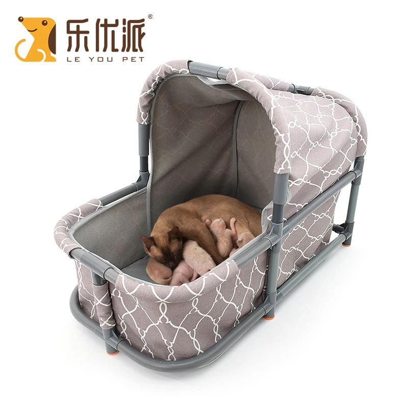 Dog ubicaciondepersonas.cdmx.gob.mx