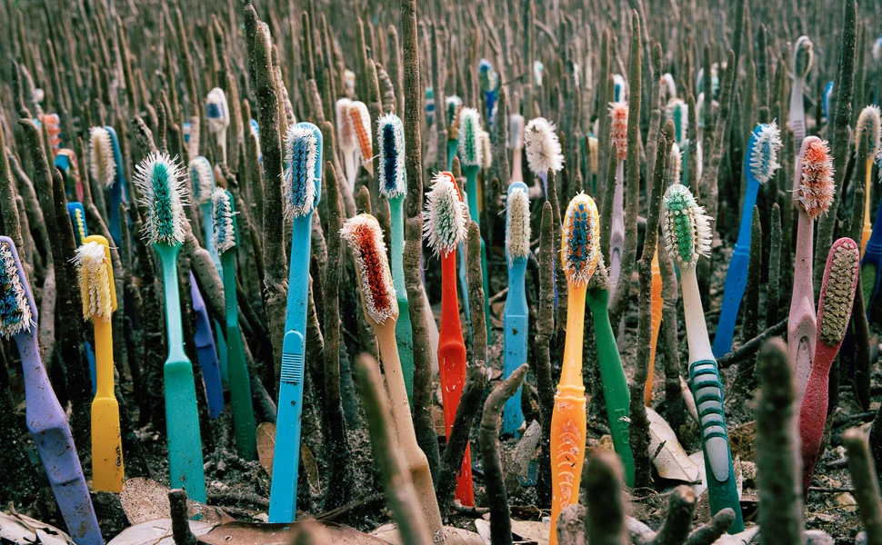 bamboo toothbrush 01