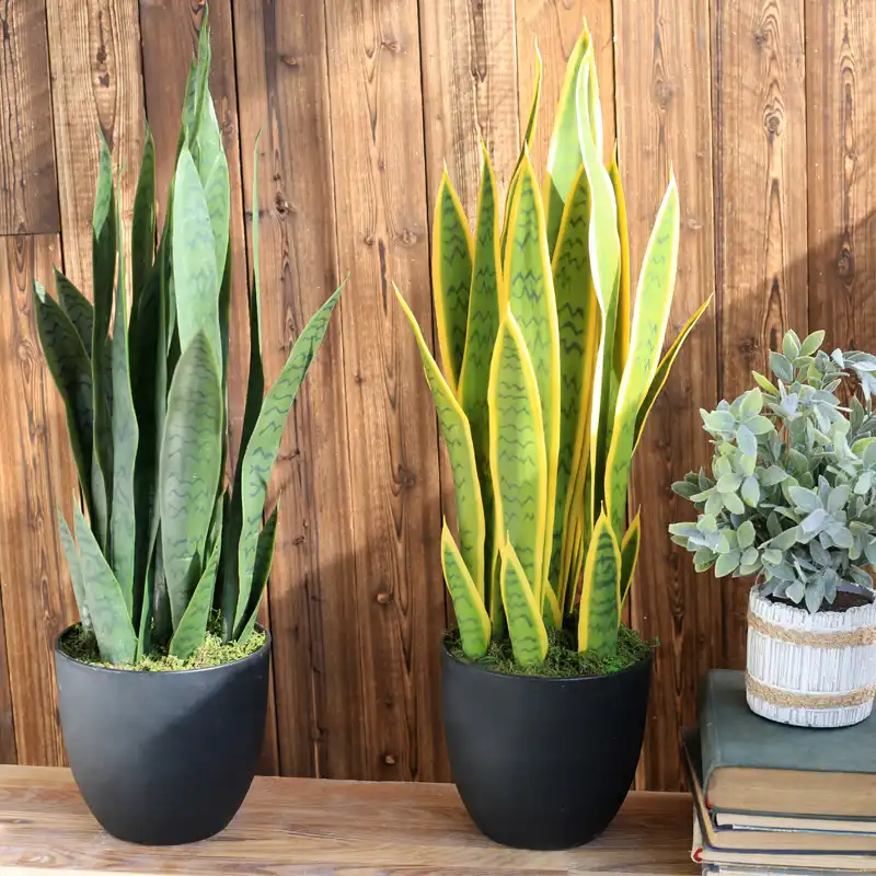 Artificial Succulent Plant Agave Desert Plants Sansevieria