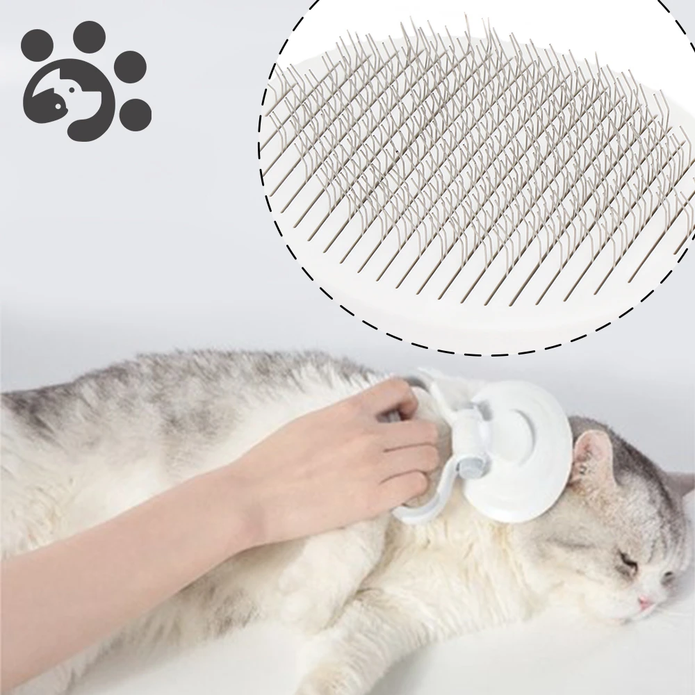 Cat Grooming Accessories 2024