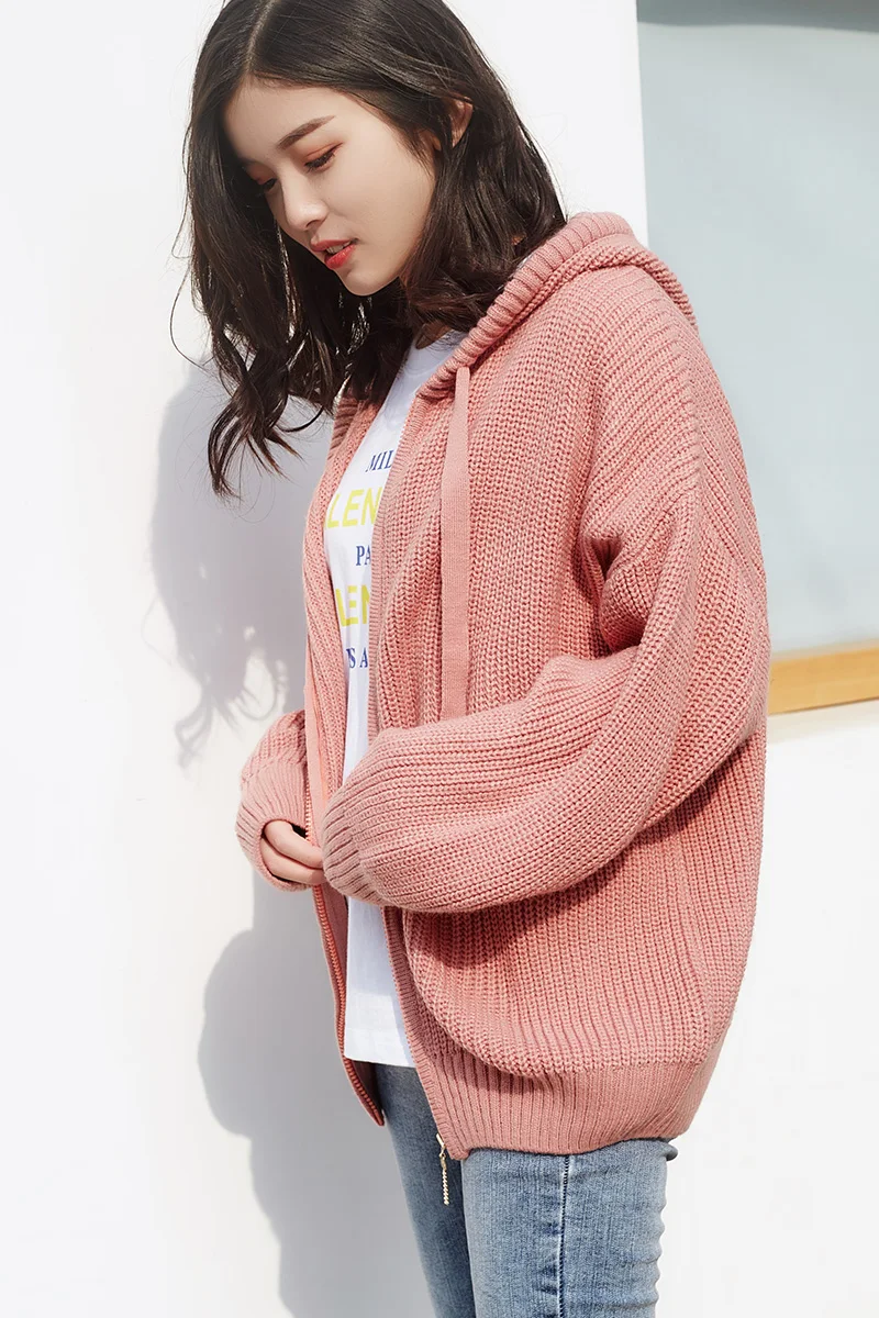 #^Special Price FRSEUCAG 2019 new cashmere sweater women solid color zipper cardigan hooded sweater loose knitted long sleeve coat wool sweater