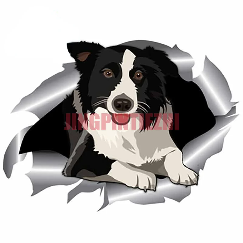 

Car Stickers Vinyl Motorcycle Decal Car Window Body Decorative Border Collie Occlusion Scratch Personality Car Stickers
