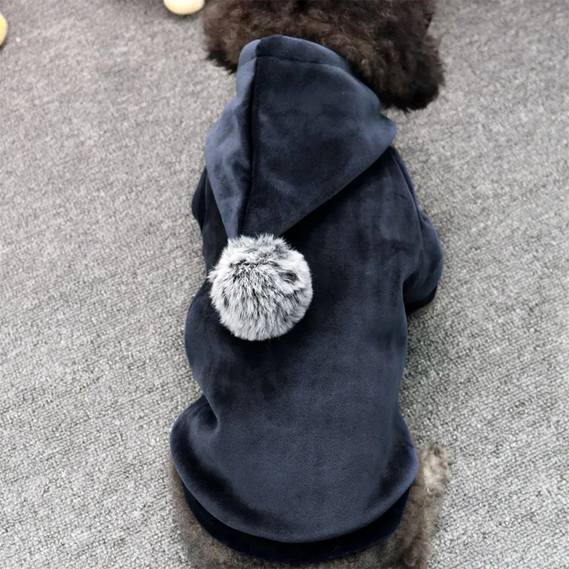 Собака Зимняя одежда худи для домашних собак, куртка для маленькой собаки осеннее пальто куртка для детей Одежда для Йорка Чихуахуа щенок теплая 2 брюки с широкими штанинами Костюмы