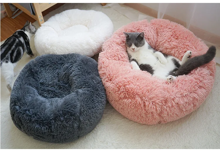 11369365872_55501388