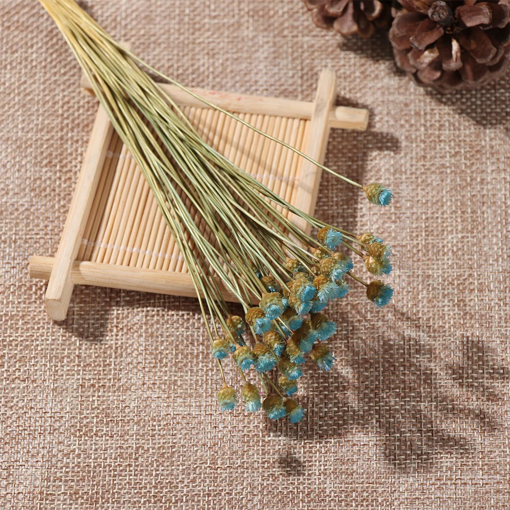light blue-50pcs /20/50 шт красочные натуральные сухие цветы искусственные цветы из искусственного кроличьего хвост трава букет длинные пучки Свадебная вечеринка домашний декор - Цвет: light blue-50pcs