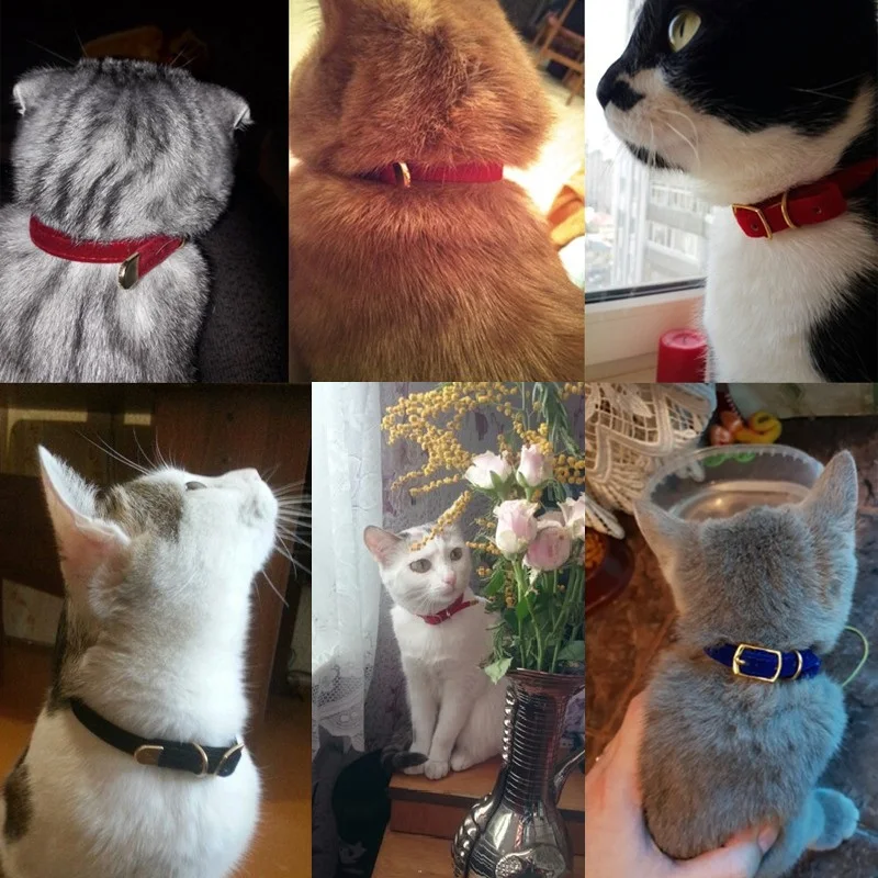 Pet Collar Cat Safety Collar Puppies Cat Collar Small Dog kitten Solid Collar Pet Collar Cat Safety Collar Puppies Cat Collar Small Dog kitten Solid Collar