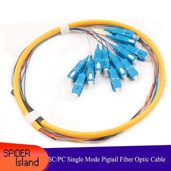 

Single Mode SC/PC12 Core Bundle Pigtail SC Pigtail Fiber Cable Fiber jumper for CATV Fiber System