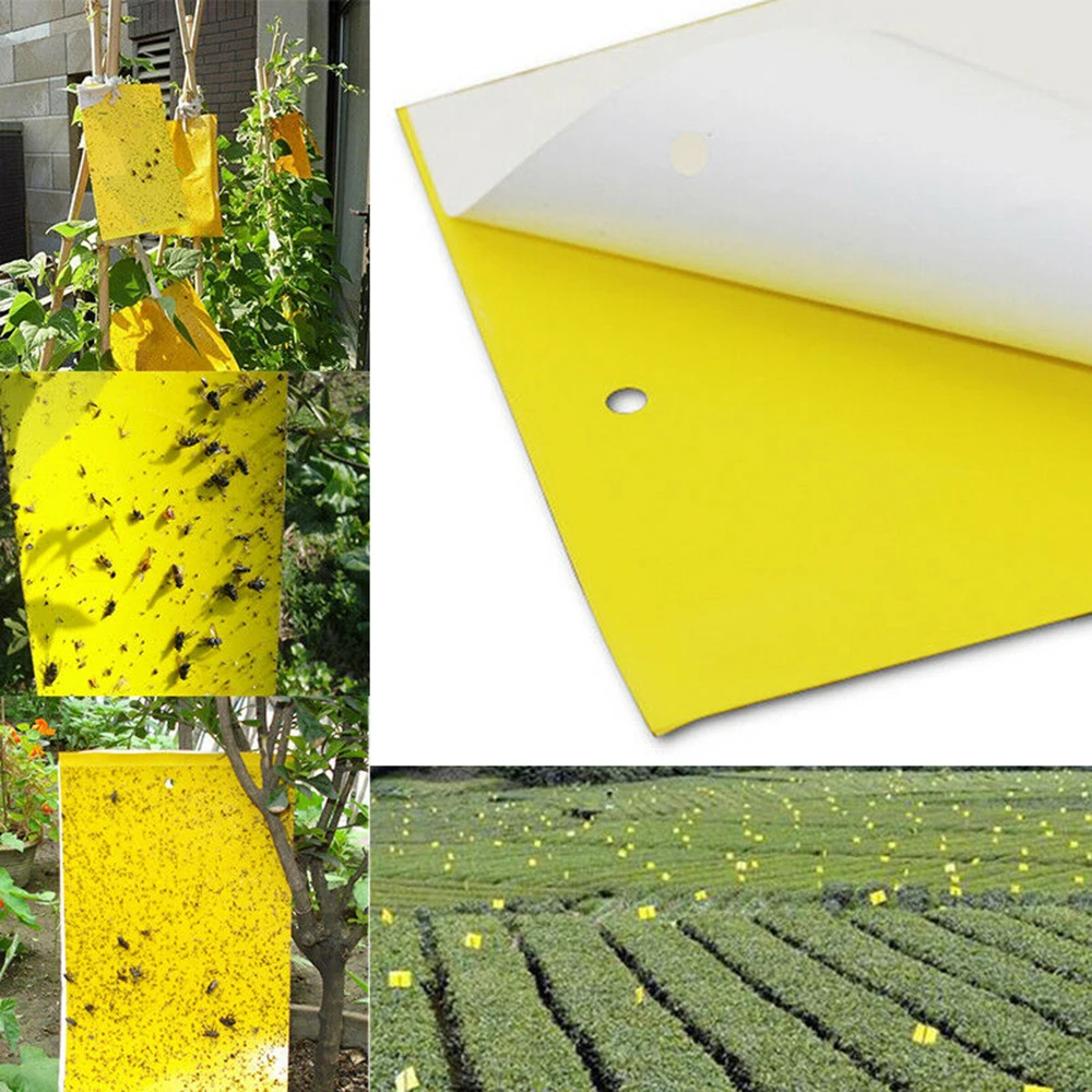 10PcYellow Sticky Glue Paper Insect Trap Catcher Killer Fly Bugs Aphids Wasp US~ 