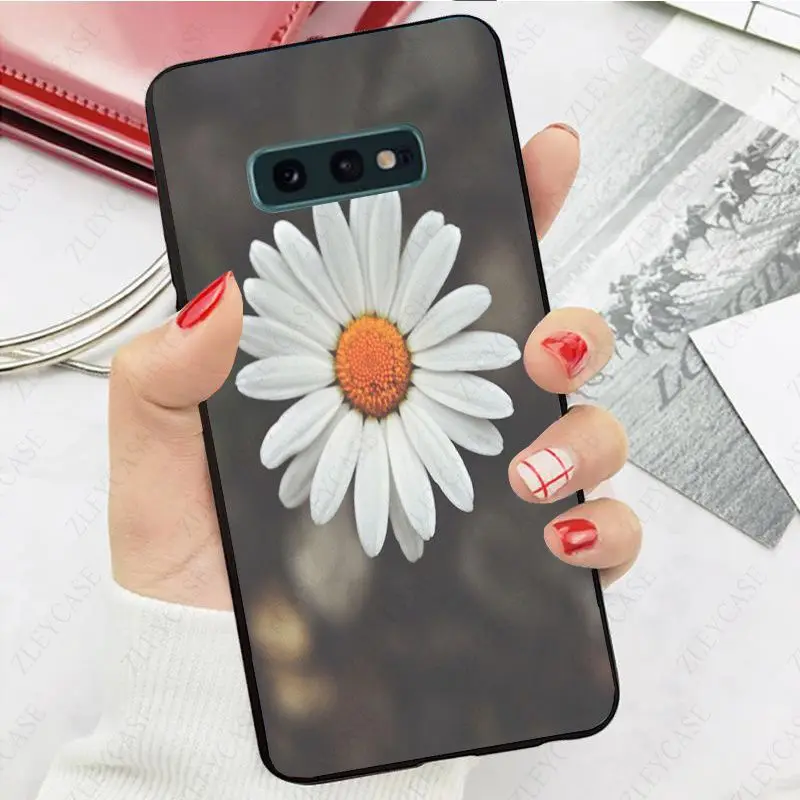 daisy flower