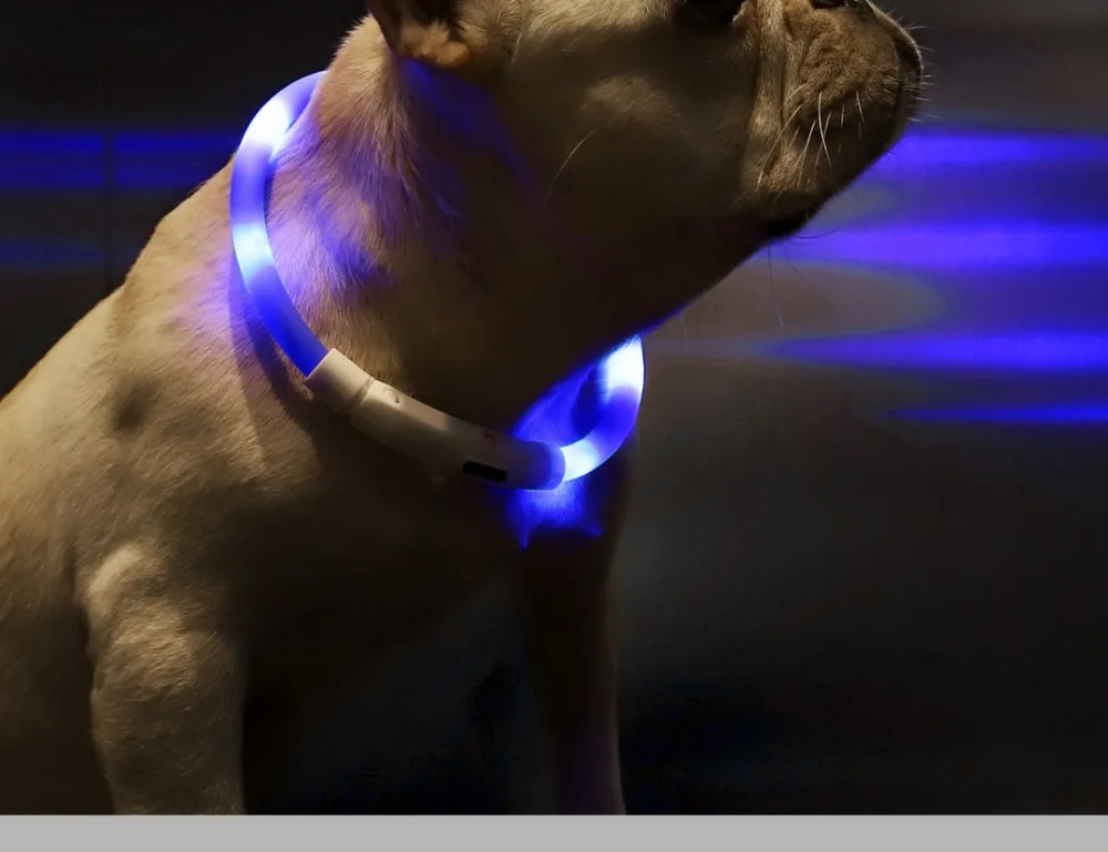 Xiaomi Mijia Pet светящийся ошейник анти-питомец потерянный светодиодный предупреждающий свет зарядка через USB собачий воротник вел ошейник для собаки Персонализированная безопасность