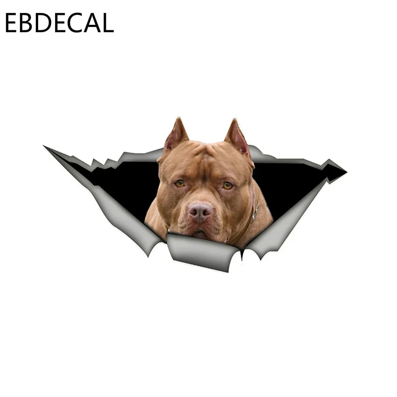 EBdecal Brown American pitbull For Auto Car/Bumper/Window/Wall Decal Sticker Decals DIY Decor CT6232 | Автомобили и мотоциклы