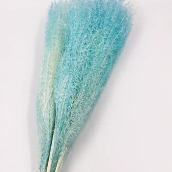 

10/Pcs Bunch Natural Dry Flowers Artificial Bouquet and DIY Handmade