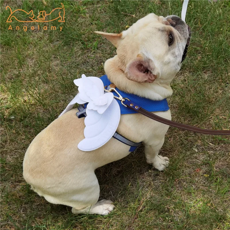 PROD 4001288271727 Angel Wings Dog Harness Leash Set Leather Cute
Breathable Mesh Cotton Noctilucent Suitable French Bulldog Small Dog
Harness Vest