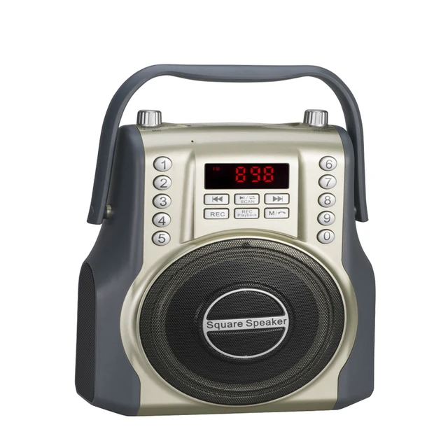 Classic Hot Sale Outdoor Portable Audio 