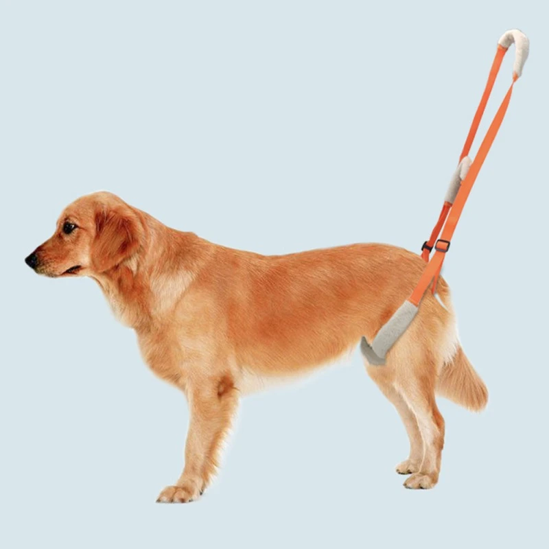 Dog Leg Sling