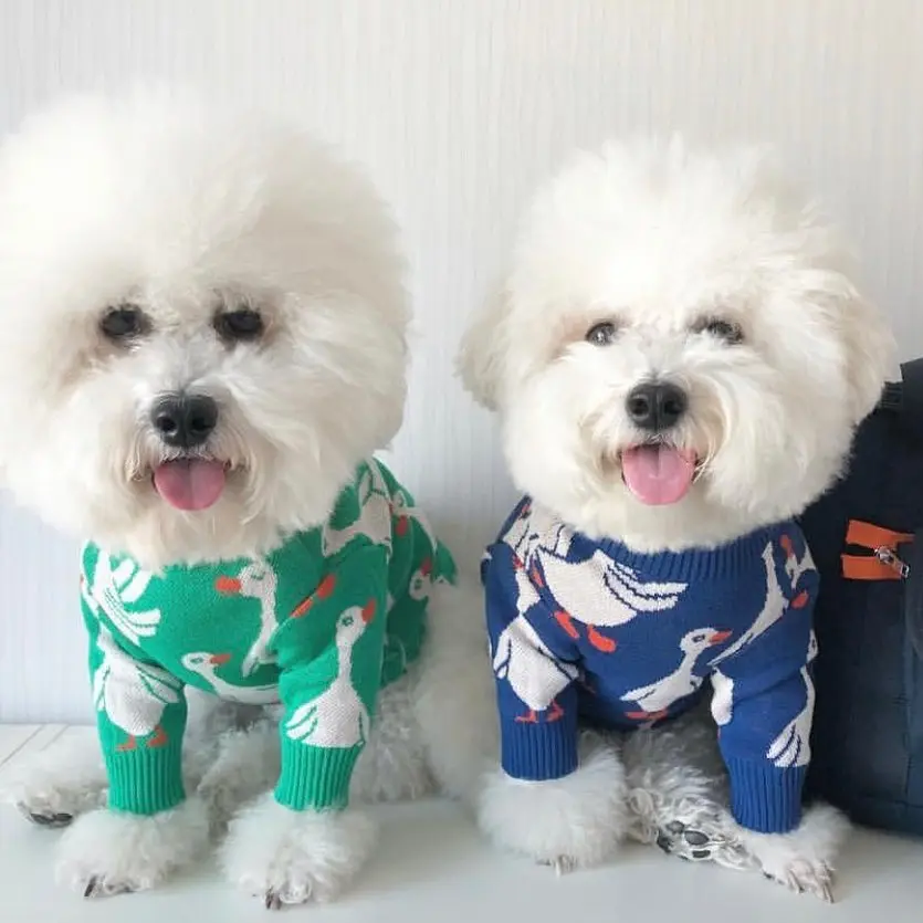 Мягкий свитер для собак, Классический Повседневный костюм для домашних животных, модный кардиган, свитер, вязаная куртка для щенка из шнауцера, бульдога