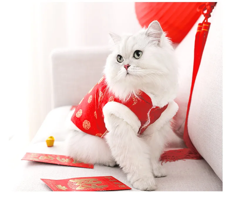 HOOPET/Одежда для кошек; Рождественская зимняя куртка для питомцев, щенков, котят; куртка для маленьких и средних собак, кошек, чихуахуа; одежда на год