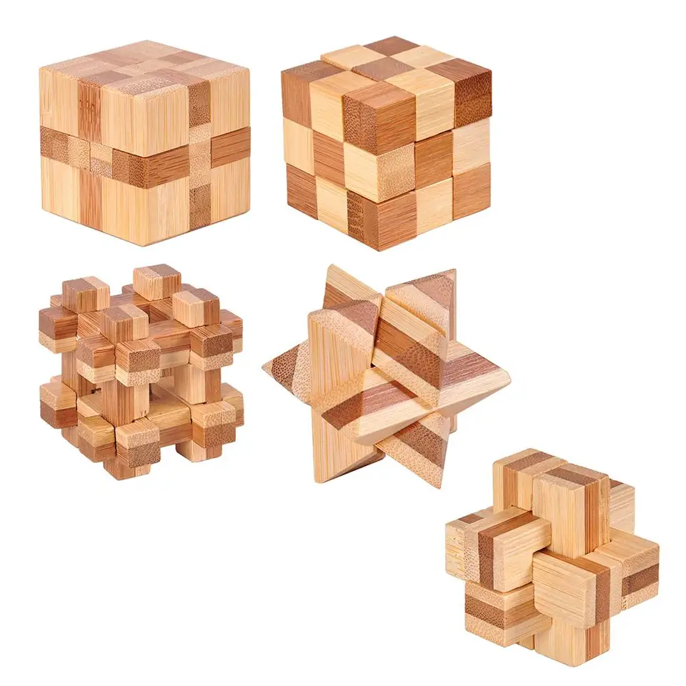 brain benders wooden puzzles