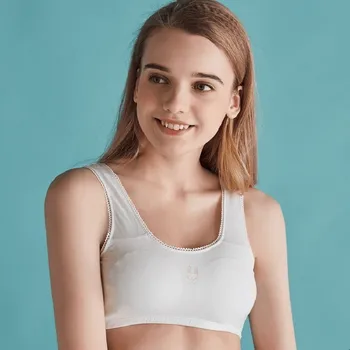 

Roseheart Women Fashion Pink Blue Sexy Bralette Push Up Small Chest Student Female Padded Bras Cup A B Maiden Bras Women Vest