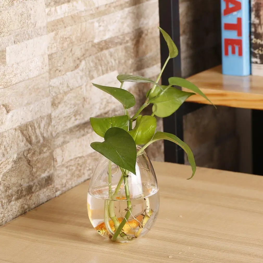 Прозрачная настенная ваза в форме яйца для украшения дома