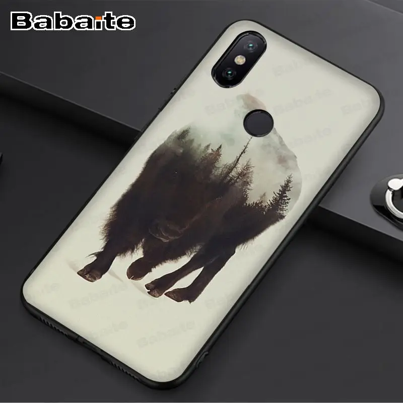 Wild Boar pig animal