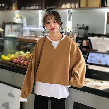 

Autumn Winter Loose Sweatshirt Female Casual Pullover Tops Fashion Female Long Sleeve Fake Fwo-pieceTops