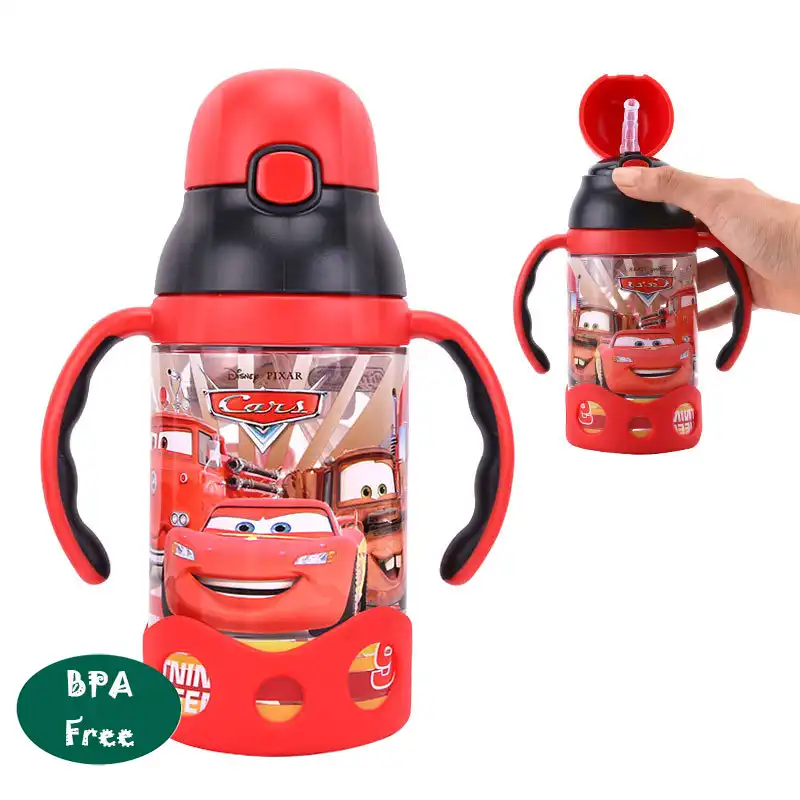 disneyland hydro flask