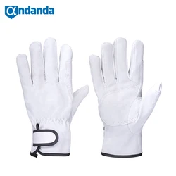 Andanda – gants de travail en cuir de chèvre, 1 paire, pour la conduite de camions, l'entrepôt, le jardinage, l'agriculture 