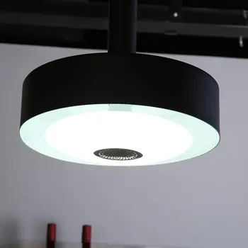 

Bluetooth Music Light Bulb Ceiling Lamp RGB Practical Remote Control Colorful Lights 30W Large Luminous Surface Design
