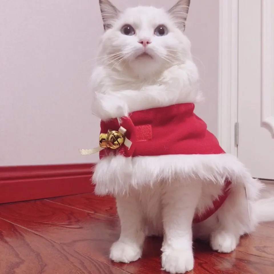 New Pet Dog Christmas Cat Ring Bell Cloak Hooded Style Keep Warm Cat Dog Clothing Winter Cat Warmer Cape Cosplay Chihuahua Cat Clothing Aliexpress