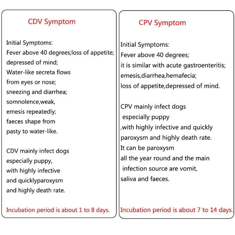 ПЭТ собачья собака хот CDV CPV Парвовирус обнаружения бумаги Тестовая карта