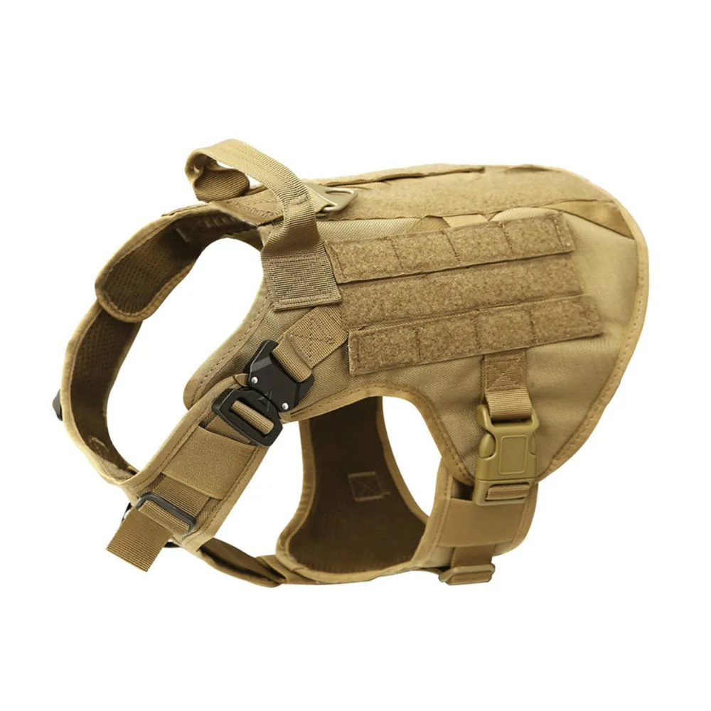 K9