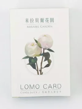 

52mmx80mm flower garden paper lomo card(1pack)