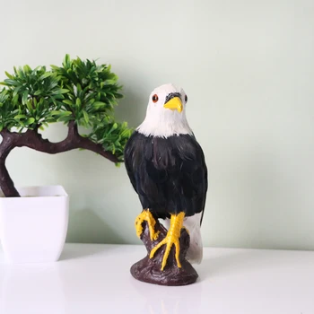 

Simulation bird animal model eagle static model props interior decoration ornaments real feather handicrafts
