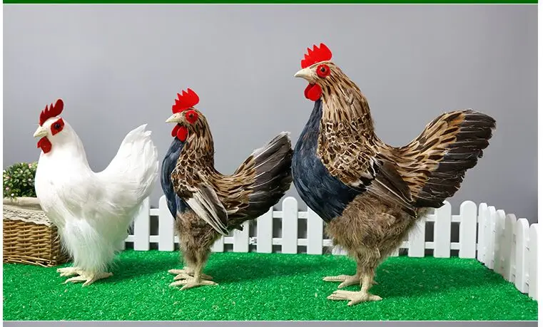 Имитация курицы модель животного стоящая Курица Перо игрушка кукла Ремесла образование дисплей фотография украшение супермаркетов реквизит