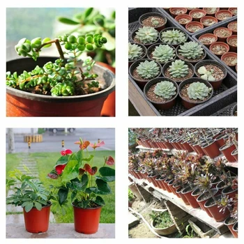 

100pcs Plastic Planting Pots Seed Starter Grow Nursery Flower Herb Plant Plastic Plant Pots 100 Red And Black Nursery Pots Tran