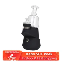 Electronic Cigarettes